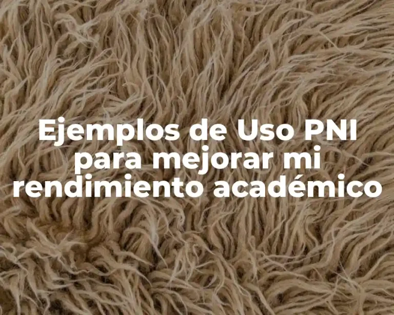 Ejemplos de Uso PNI para mejorar mi rendimiento académico