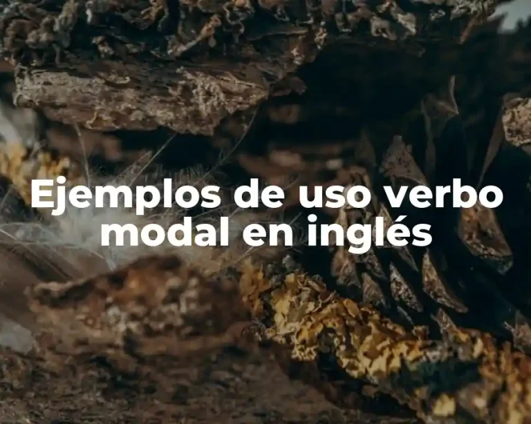 Ejemplos de uso verbo modal en inglés