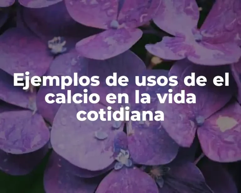 Ejemplos de usos de el calcio en la vida cotidiana