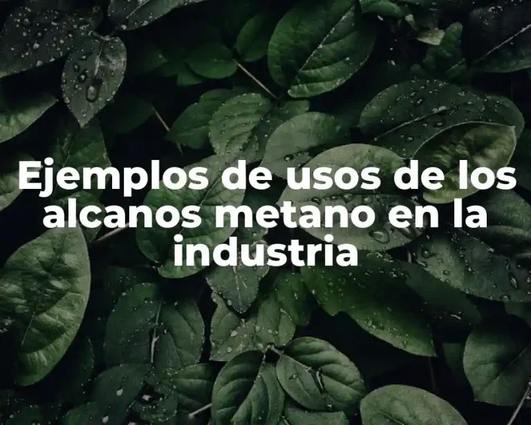 Ejemplos de usos de los alcanos metano en la industria