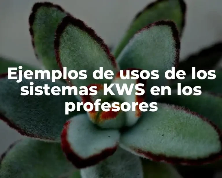 Ejemplos de usos de los sistemas KWS en los profesores