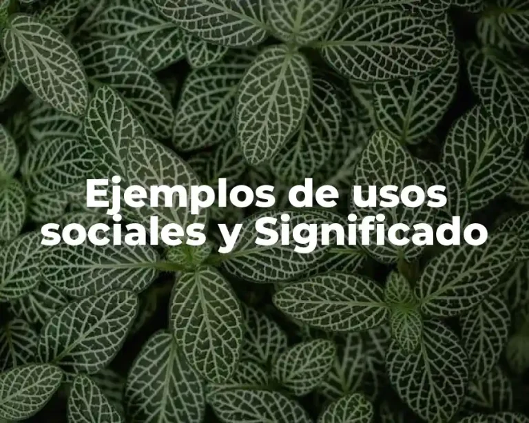 Ejemplos de usos sociales y Significado