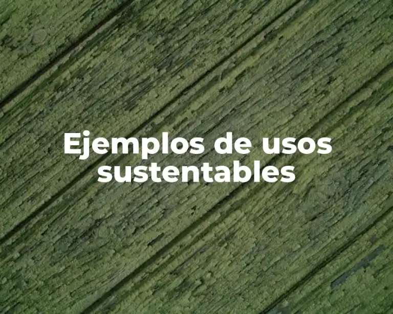 Ejemplos de usos sustentables