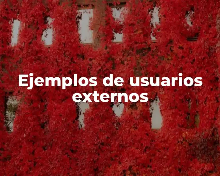 Ejemplos de usuarios externos