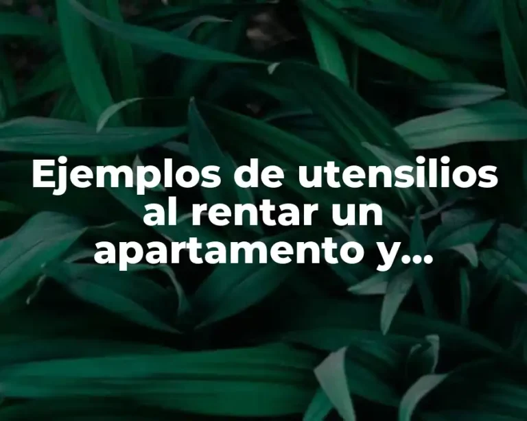Ejemplos de utensilios al rentar un apartamento y Significado