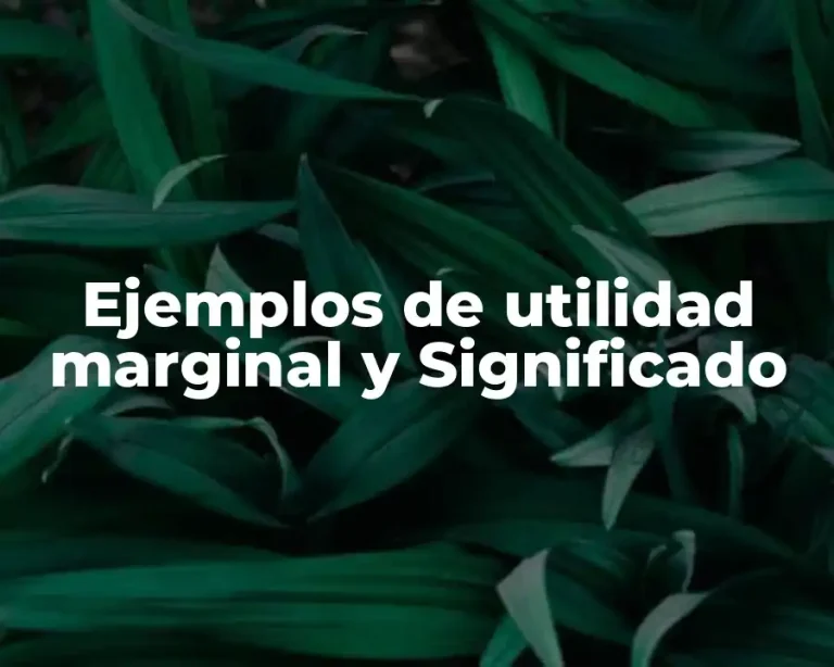 Ejemplos de utilidad marginal y Significado