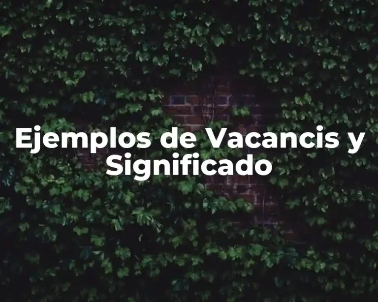 Ejemplos de Vacancis y Significado