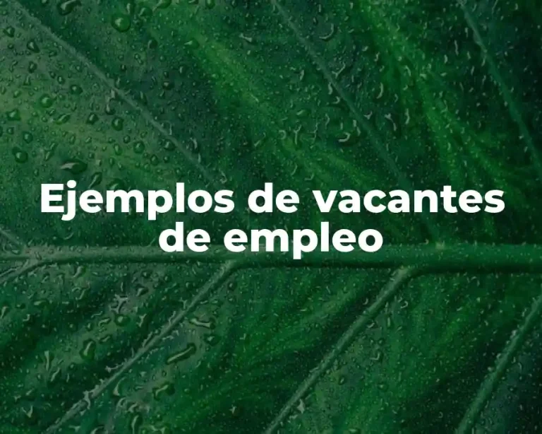 Ejemplos de vacantes de empleo