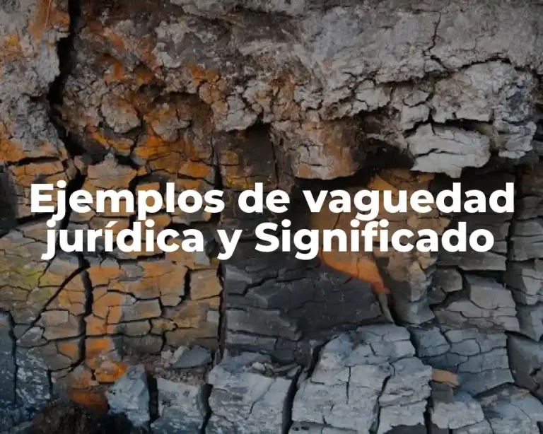 Ejemplos de vaguedad jurídica y Significado