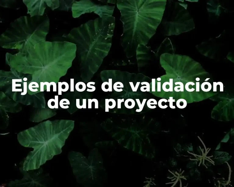 Ejemplos de validación de un proyecto