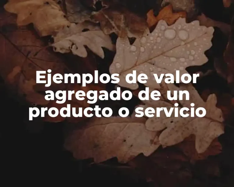 Ejemplos de valor agregado de un producto o servicio