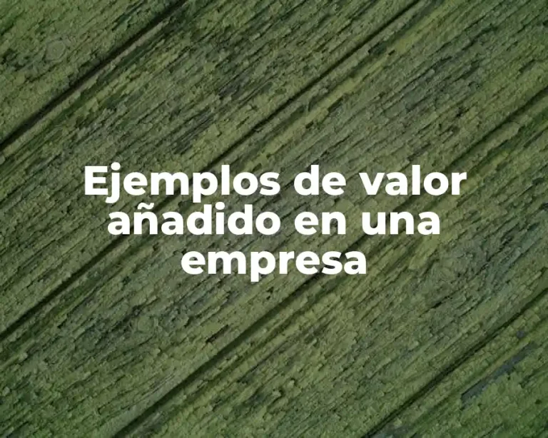 Ejemplos de valor añadido en una empresa