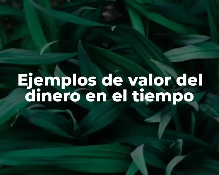 Ejemplos de valor del dinero en el tiempo
