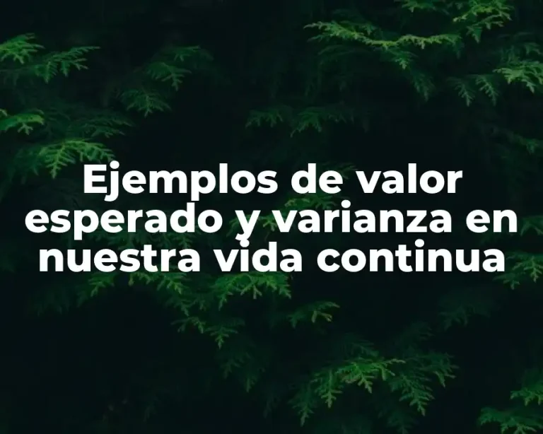 Ejemplos de valor esperado y varianza en nuestra vida continua