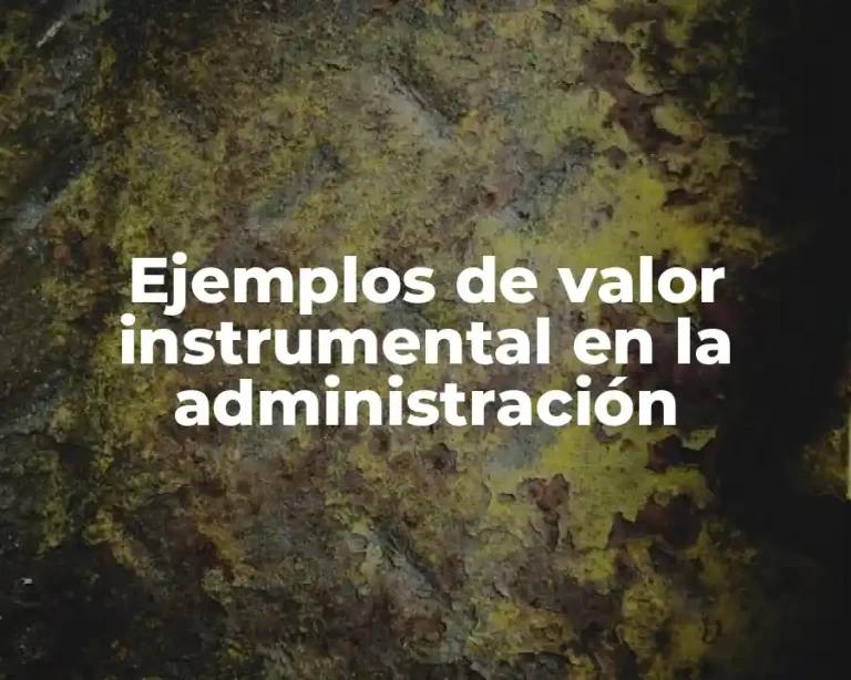 Ejemplos de valor instrumental en la administración