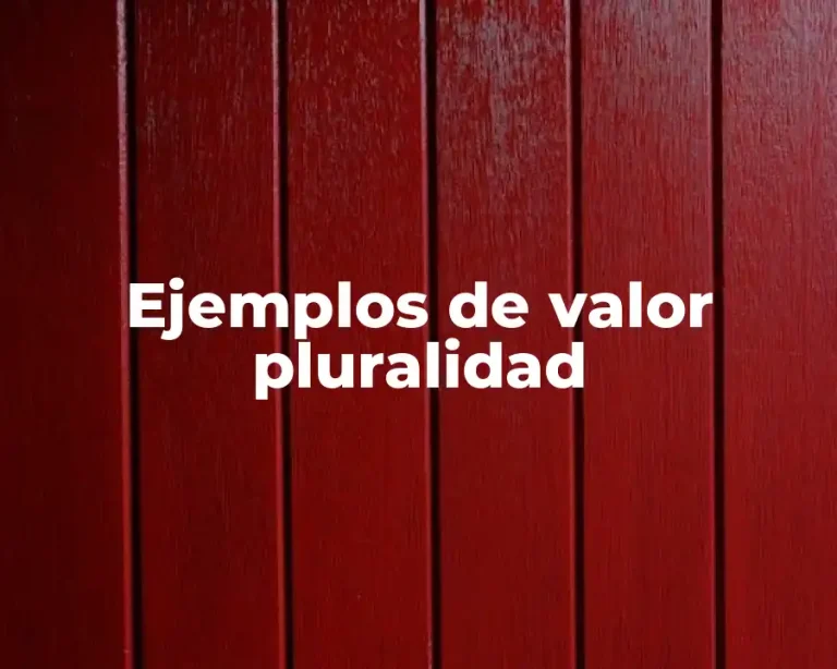 Ejemplos de valor pluralidad