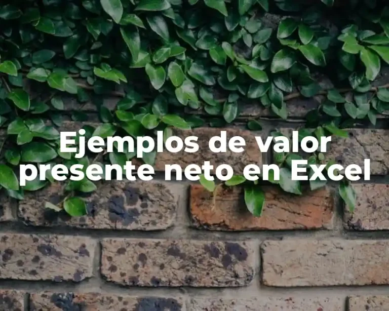 Ejemplos de valor presente neto en Excel