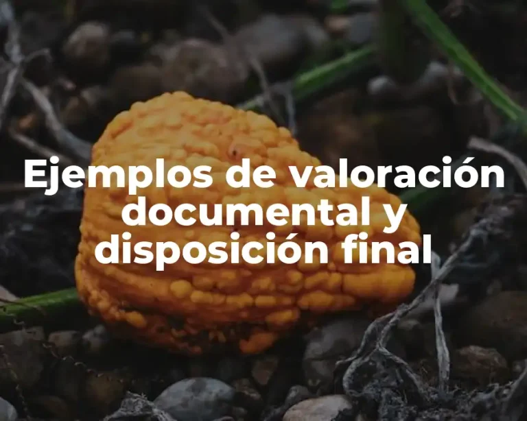 Ejemplos de valoración documental y disposición final