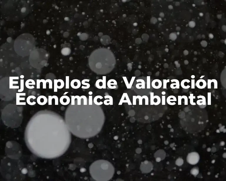 Ejemplos de Valoración Económica Ambiental