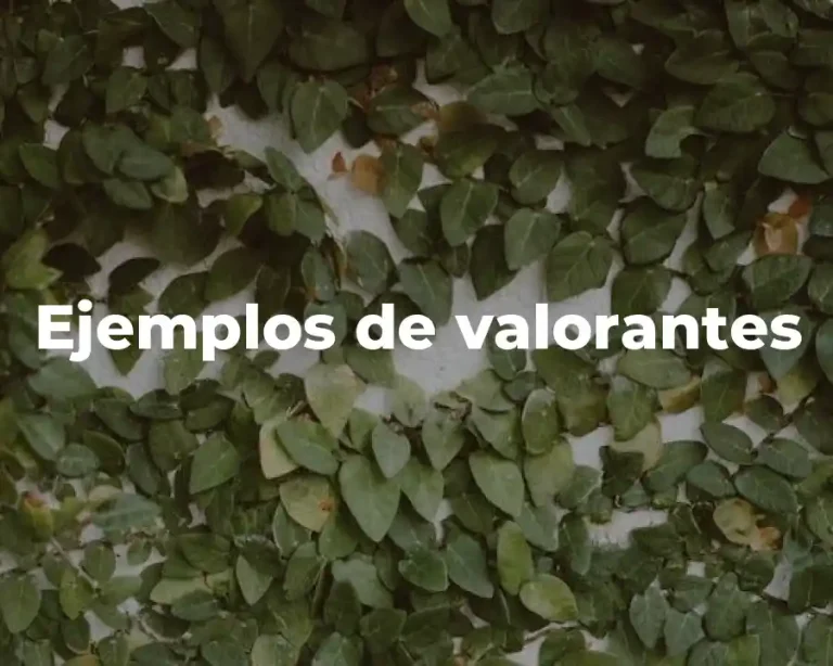 Ejemplos de valorantes
