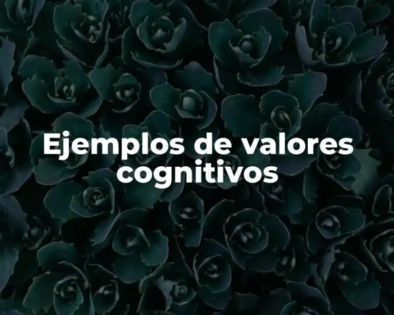 Ejemplos de valores cognitivos