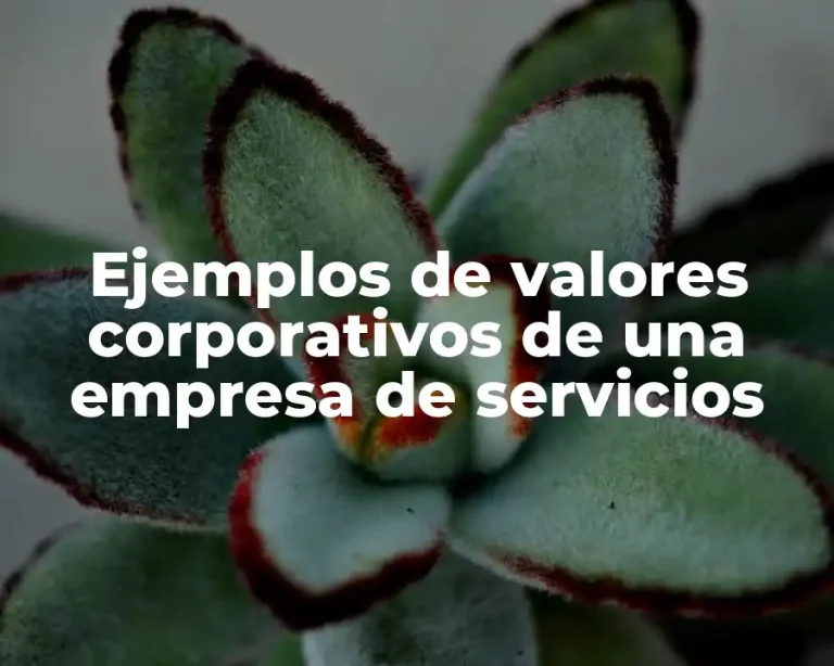 Ejemplos de valores corporativos de una empresa de servicios