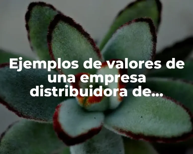 Ejemplos de valores de una empresa distribuidora de pañales desechables