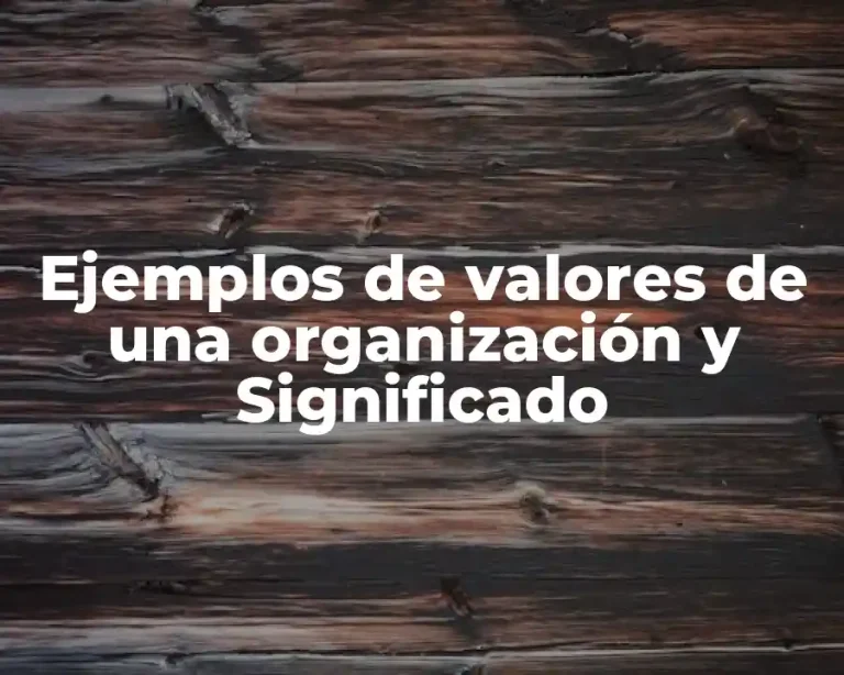 Ejemplos de valores de una organización y Significado