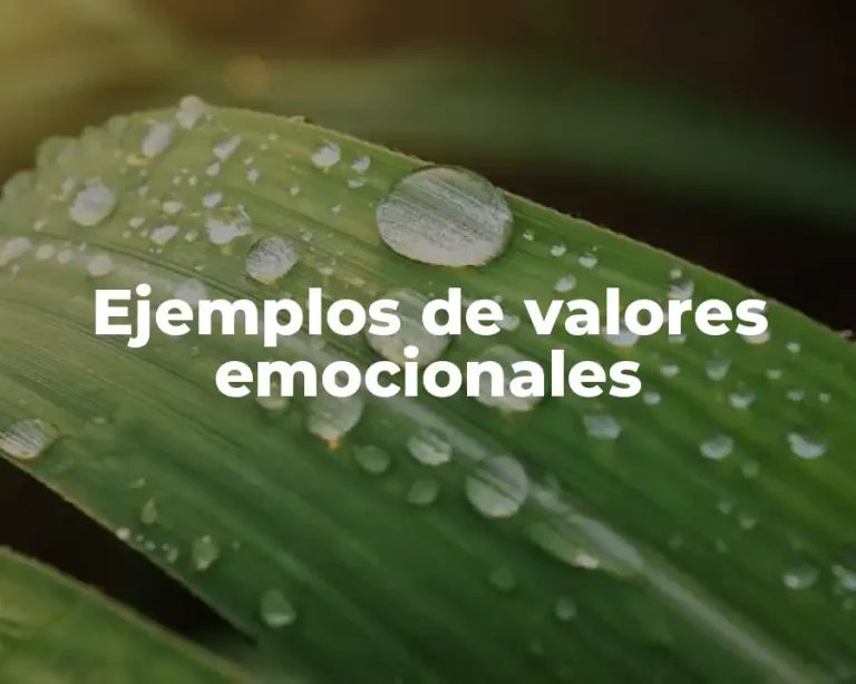 Ejemplos de valores emocionales