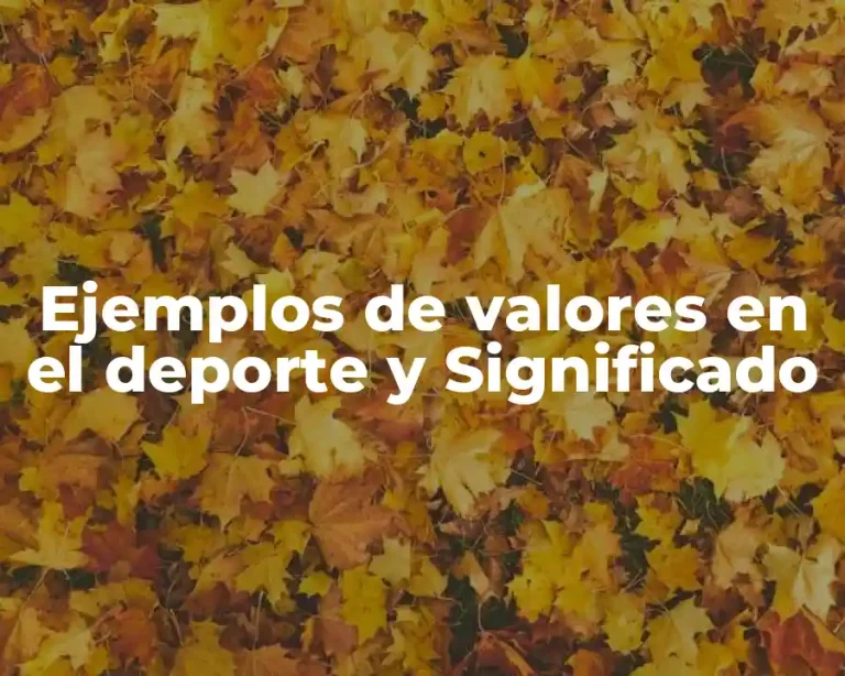 Ejemplos de valores en el deporte y Significado