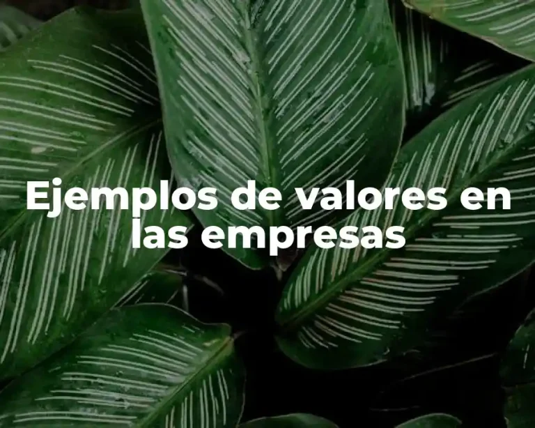 Ejemplos de valores en las empresas