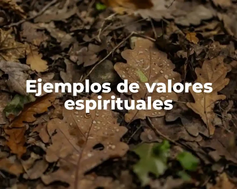 Ejemplos de valores espirituales