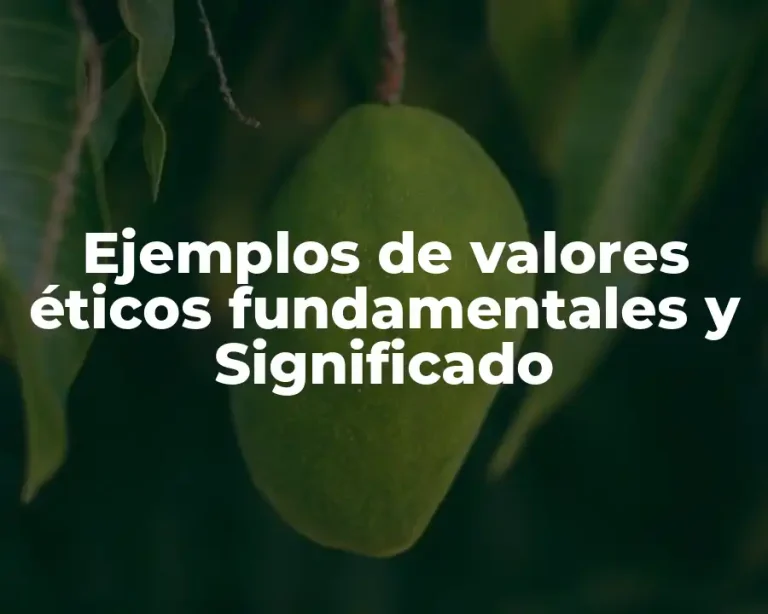 Ejemplos de valores éticos fundamentales y Significado