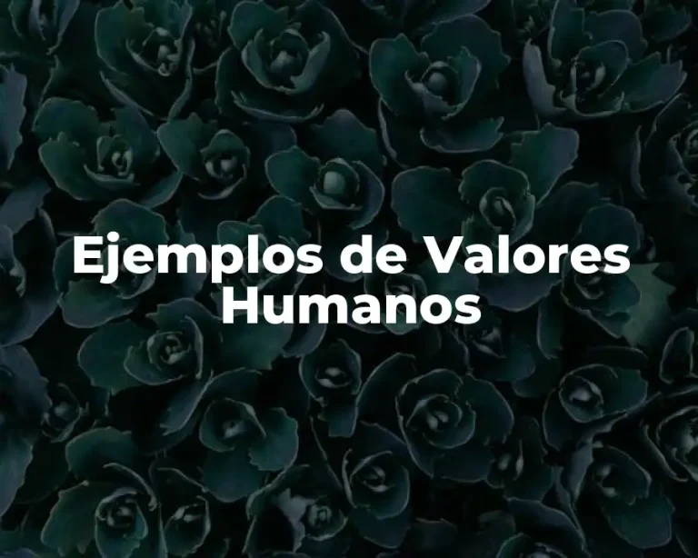 Ejemplos de Valores Humanos