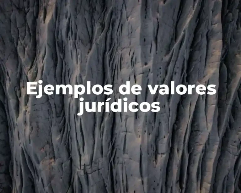 Ejemplos de valores jurídicos