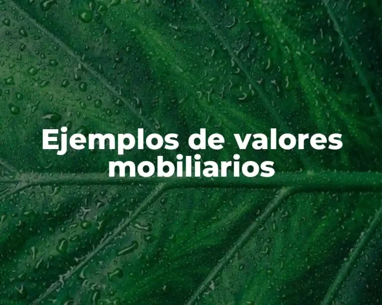 Ejemplos de valores mobiliarios