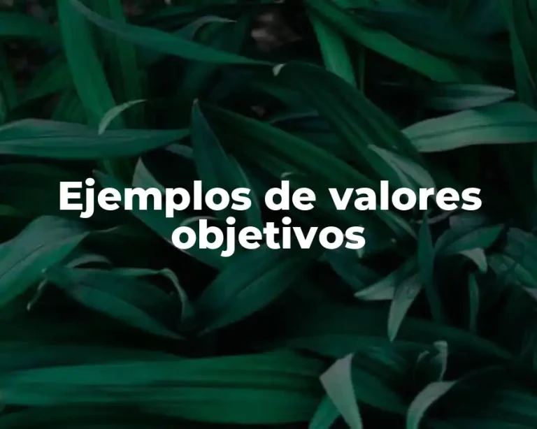 Ejemplos de valores objetivos