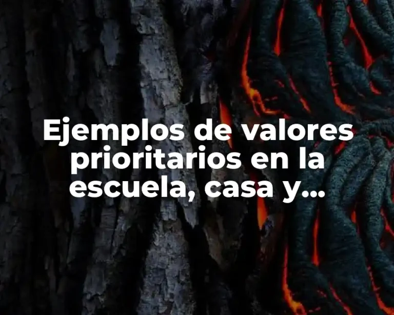 Ejemplos de valores prioritarios en la escuela, casa y comunidad