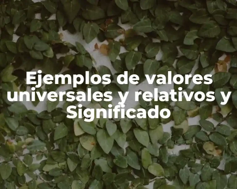 Ejemplos de valores universales y relativos y Significado