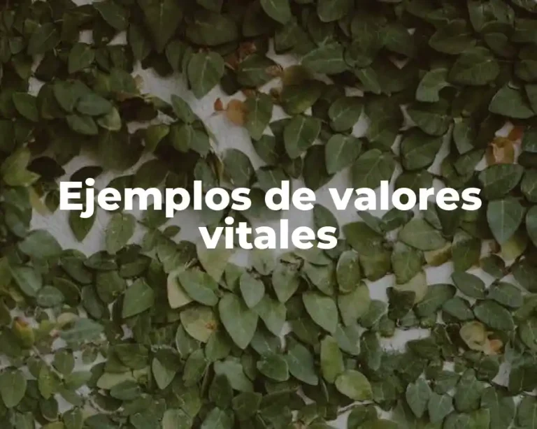 Ejemplos de valores vitales