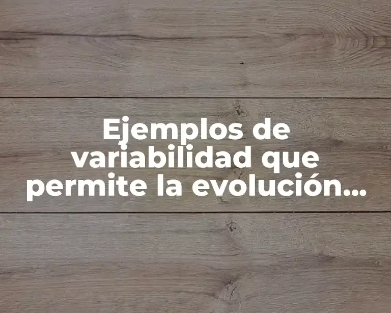 Ejemplos de variabilidad que permite la evolución animada