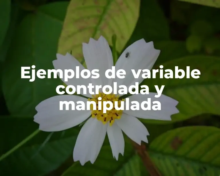 Ejemplos de variable controlada y manipulada