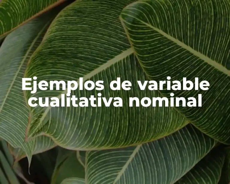 Ejemplos de variable cualitativa nominal
