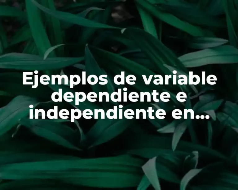 Ejemplos de variable dependiente e independiente en gráfico