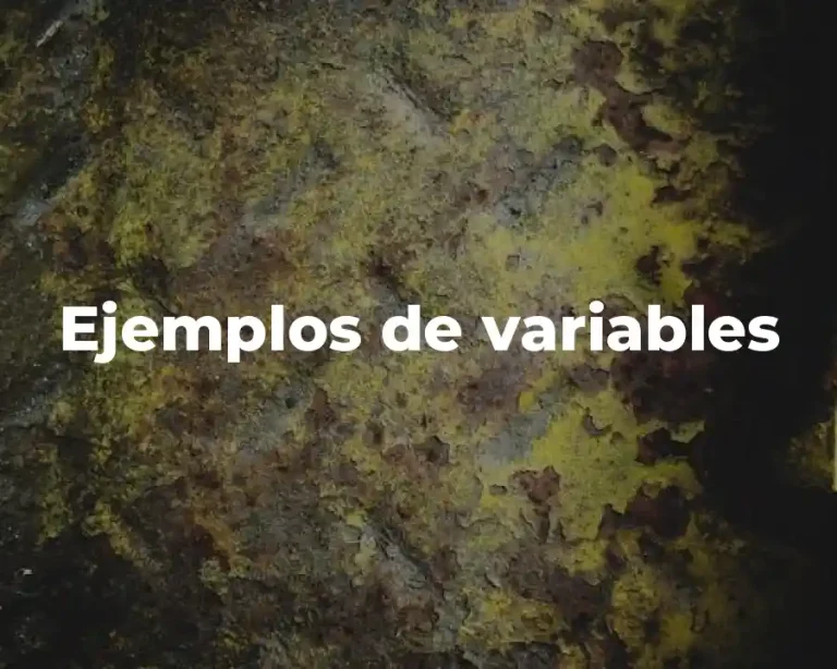 Ejemplos de variables
