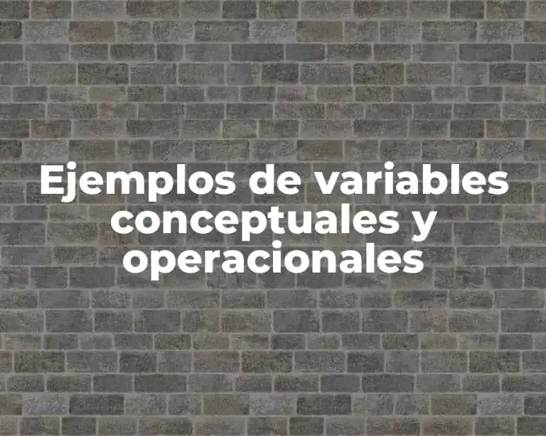 Ejemplos de variables conceptuales y operacionales