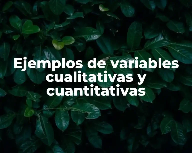 Ejemplos de variables cualitativas y cuantitativas