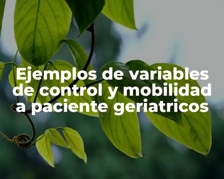 Ejemplos de variables de control y mobilidad a paciente geriatricos