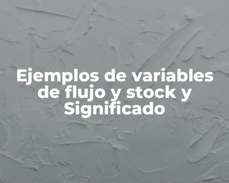 Ejemplos de variables de flujo y stock y Significado