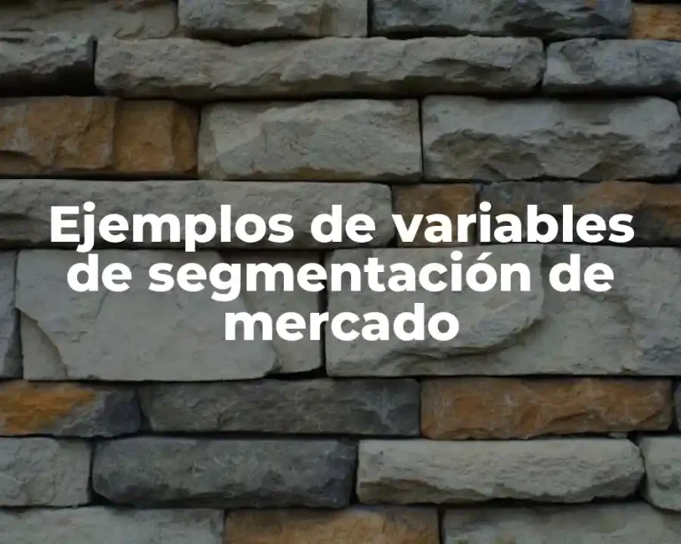 Ejemplos de variables de segmentación de mercado